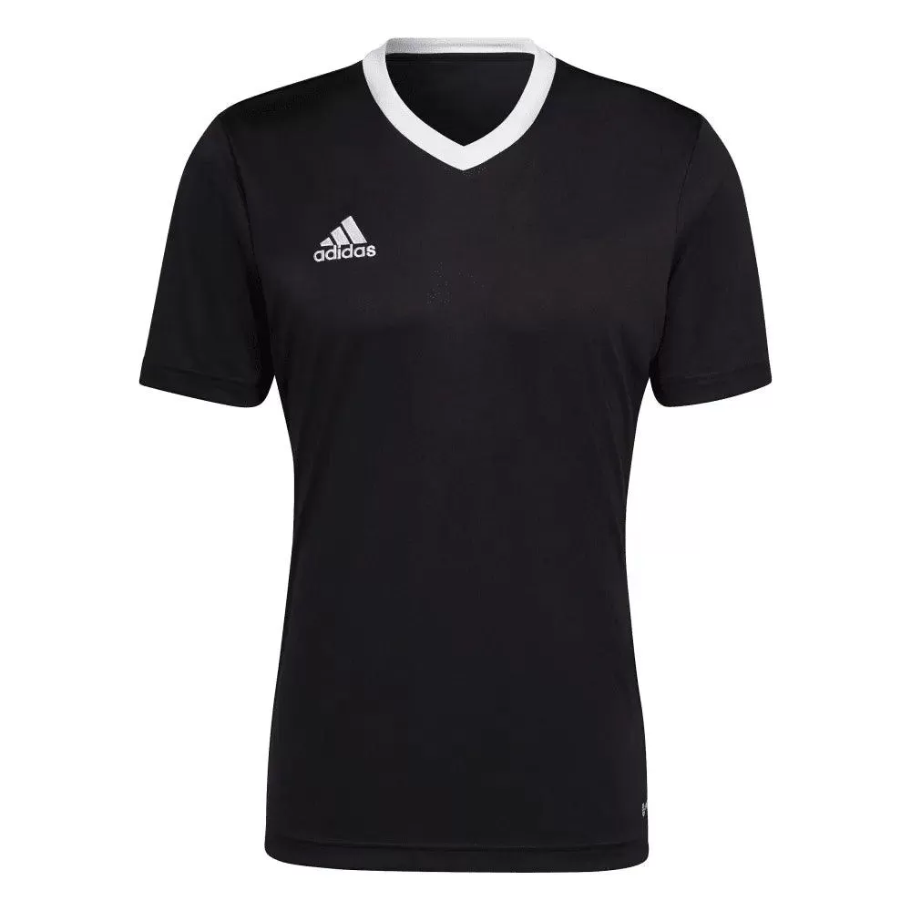 Adidas Camiseta Entry 22 Hombre