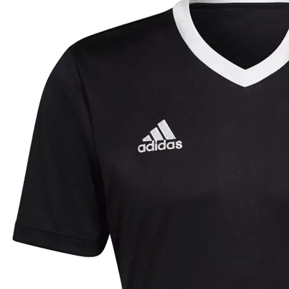 Adidas Camiseta Entry 22 Hombre