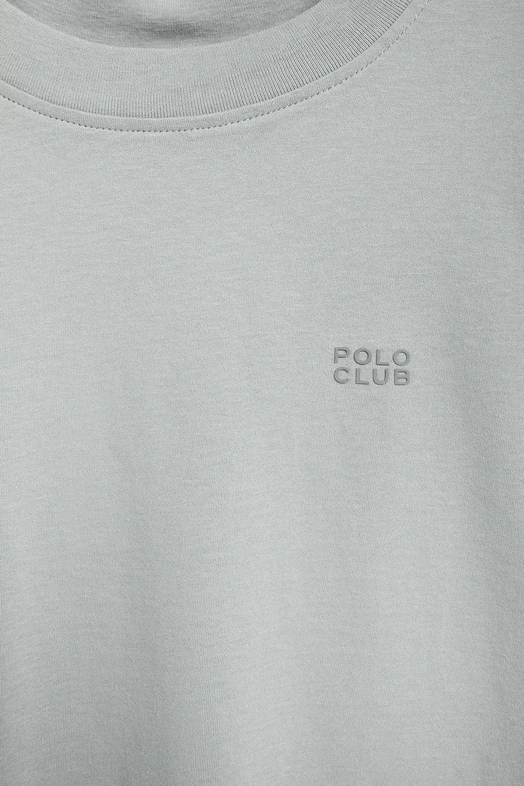 Camiseta Tori boxy fit gris azulada con print engomado Regular Block Polo Club