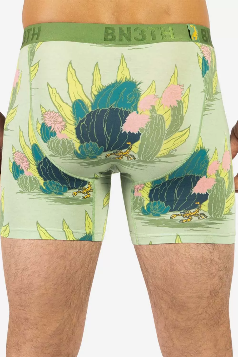 CLASSICS BOXER BRIEF Cactus Floral Fair Green