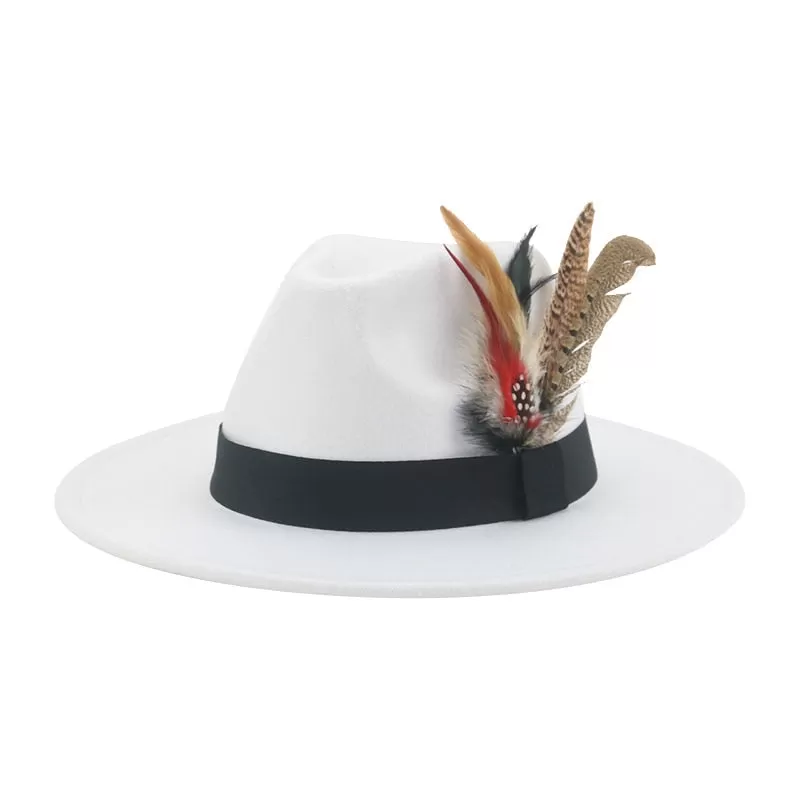 Hat Fedoras Winter Women Hats Men Felt Hat Feather Luxury Fashion hat Popular