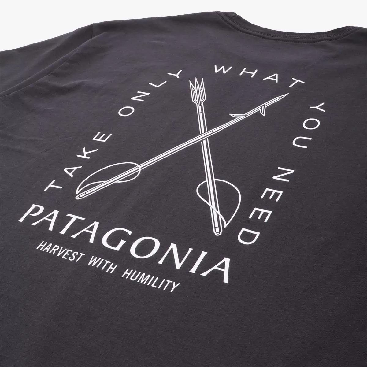 Patagonia CTA Organic T-Shirt